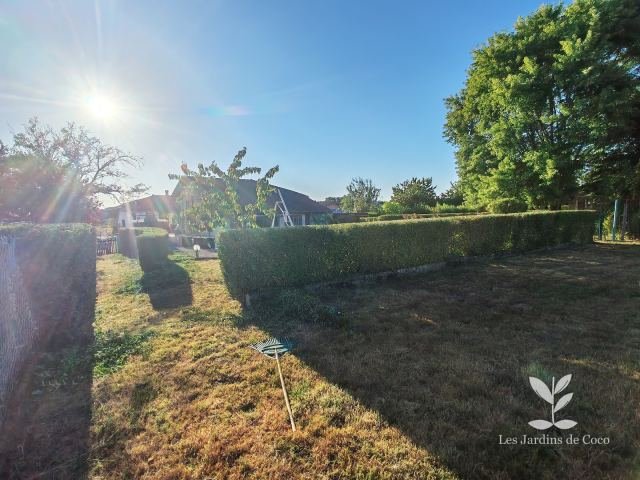 Jardin avec haies taillées et pelouse entretenue en plein soleil