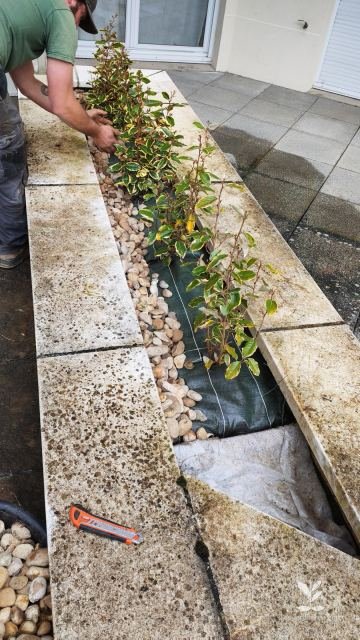 Jardinier en train de planter des arbustes dans un massif avec galets