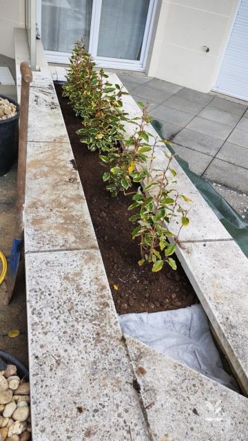 Massif d'arbustes planté dans un bac maçonné avec galets et toile de paillage